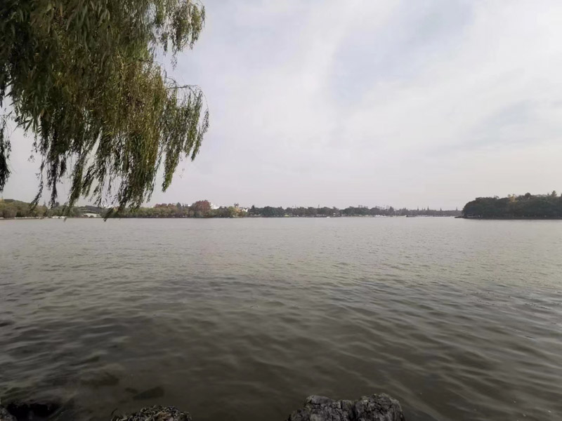 你想知道的公證遺囑法律法規(guī)，坪山律師事務(wù)已整理好