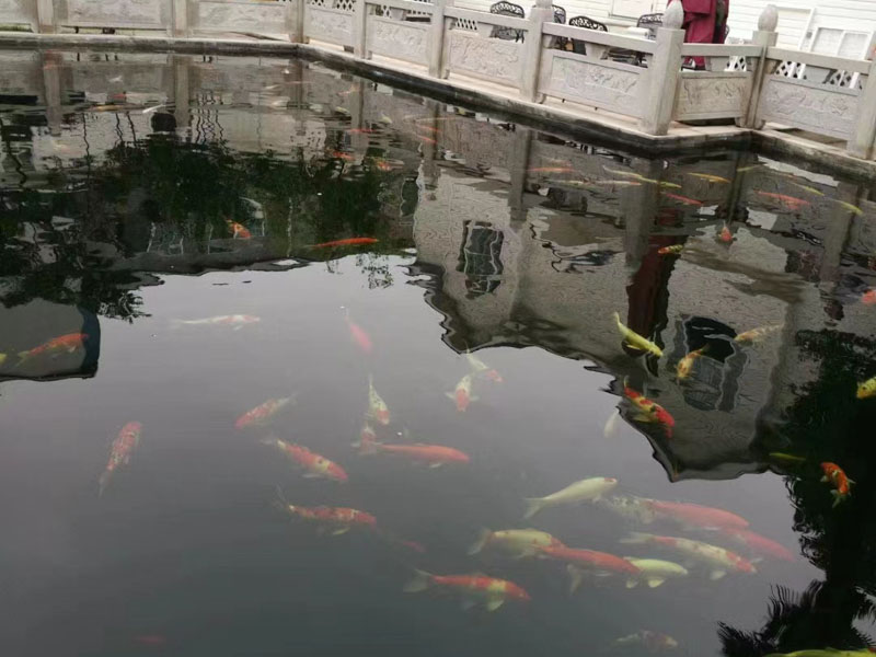 老婆有外遇離婚后財產(chǎn)如何分割？趕緊看看羅湖婚姻律師的解答