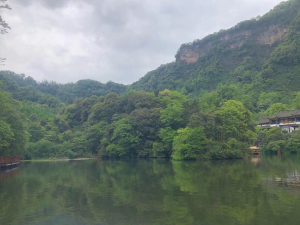 南山區(qū)婚姻律師分享五個(gè)離婚糾紛案例，希望對(duì)大家有所幫助