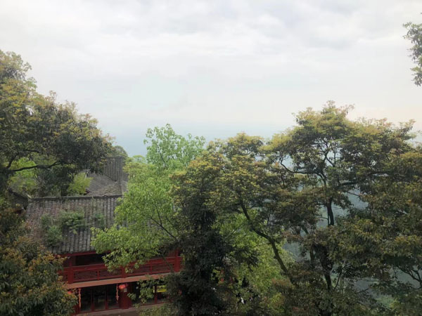 深圳欠款律師以案說(shuō)法講解欠款糾紛相關(guān)問題