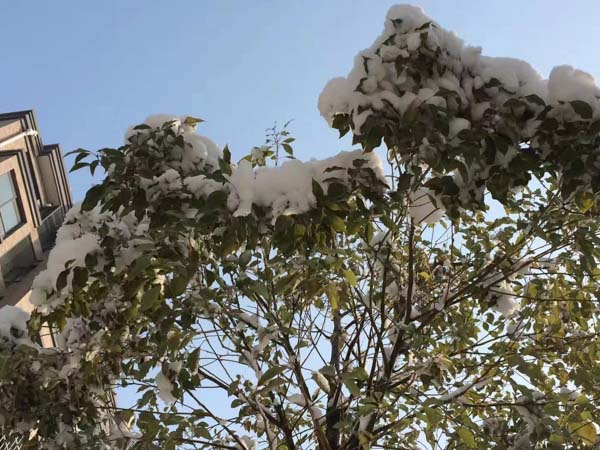 協(xié)議離婚和訴訟離婚到底哪個好？深圳律師事務所幫你做選擇