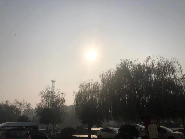房改房承繼糾紛案件：外孫女起訴要承繼外婆房改房，深圳房產(chǎn)繼承律師助舅舅駁回其訴求